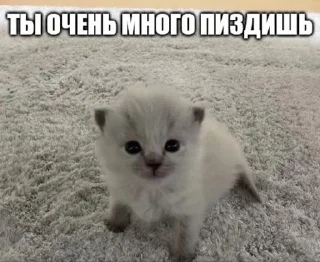 🇺🇦