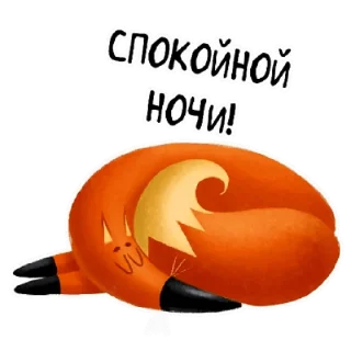😴