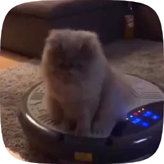 😐