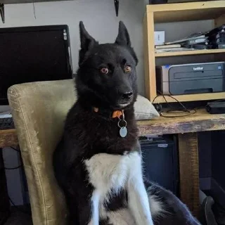 😨
