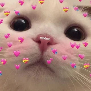 💖