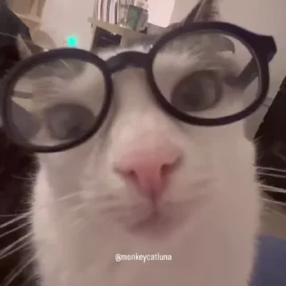 👀