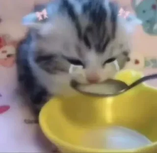 🍜
