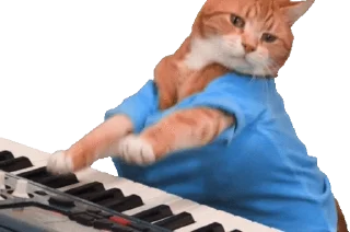 🎹