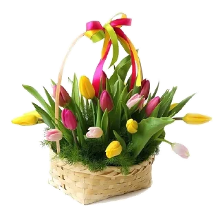 🌷