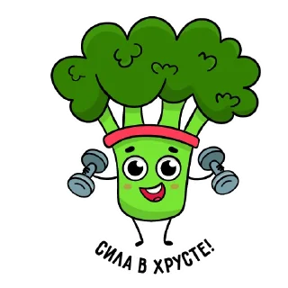 💪