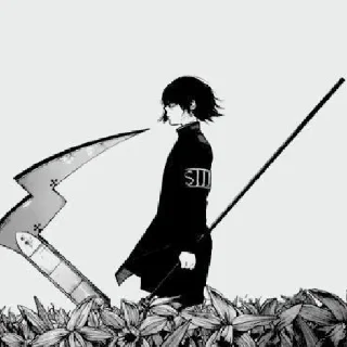 ✍