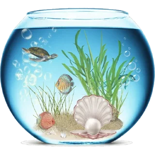 🐠