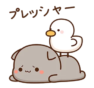 🐤