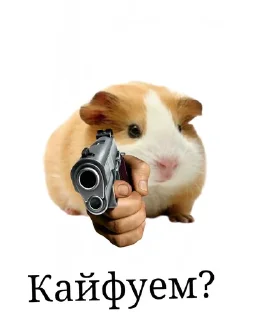 🐹