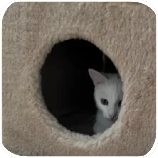 🧱
