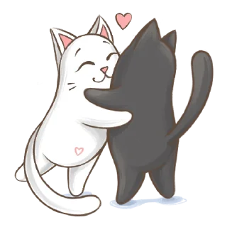 🐱