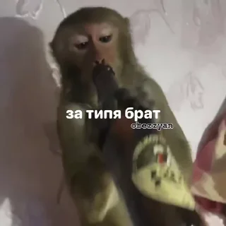😯