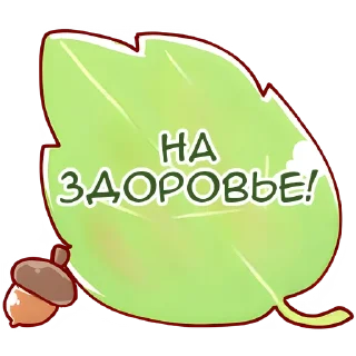 🍃