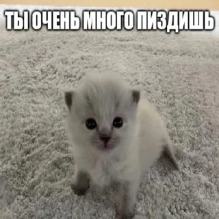 ❗️