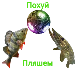 💃