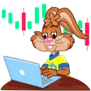 💻