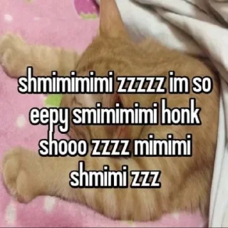 😴