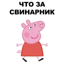 🐷