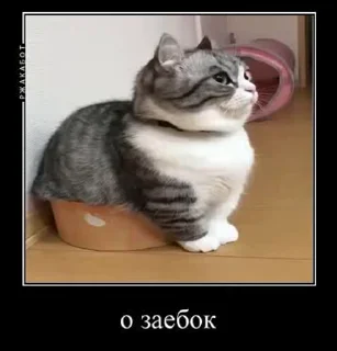 ☺️