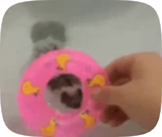 🌟