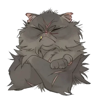 🐱