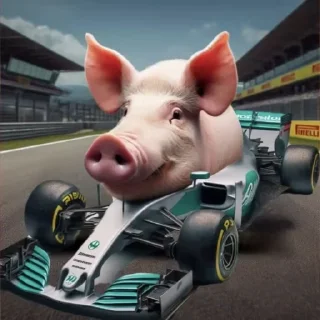 🤩