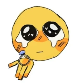 🌟