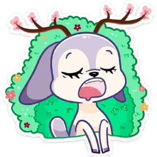 😴
