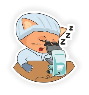 😴