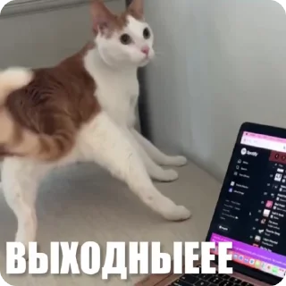 😀