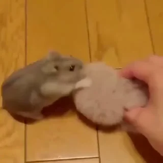 ❤️