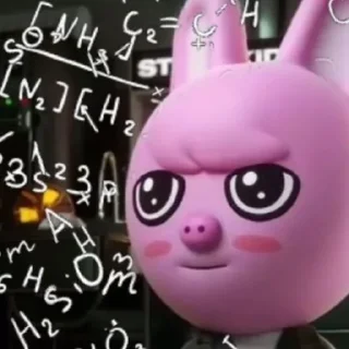 🐷