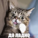 😮