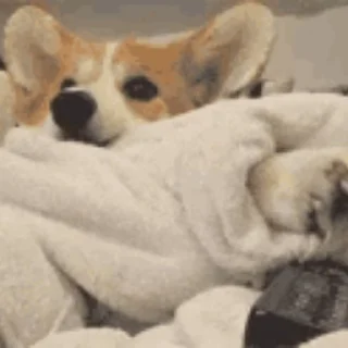 📺