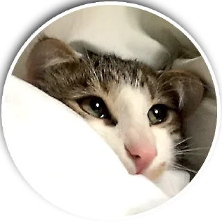 😙