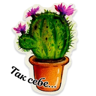 🌵