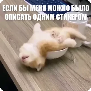 😴