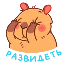 🫤