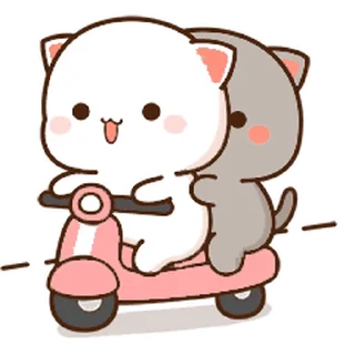 🛵