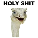 😮