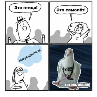 🕊