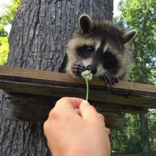 🤭