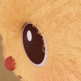 👀