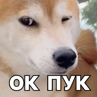 👌