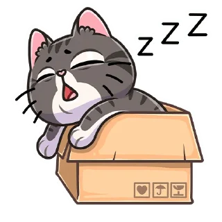😴