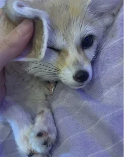 😌