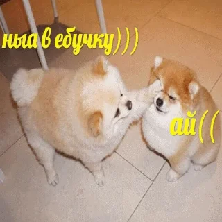 👊