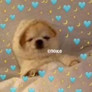 😴