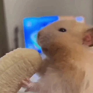 🍌